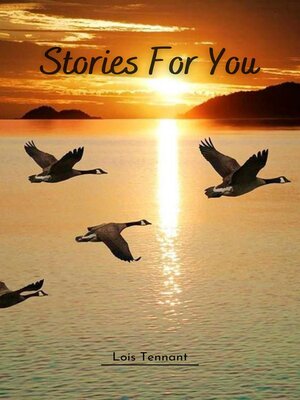 cover image of Stories for You